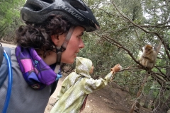 Monos marruecos