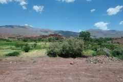 Green landscape in Morocco