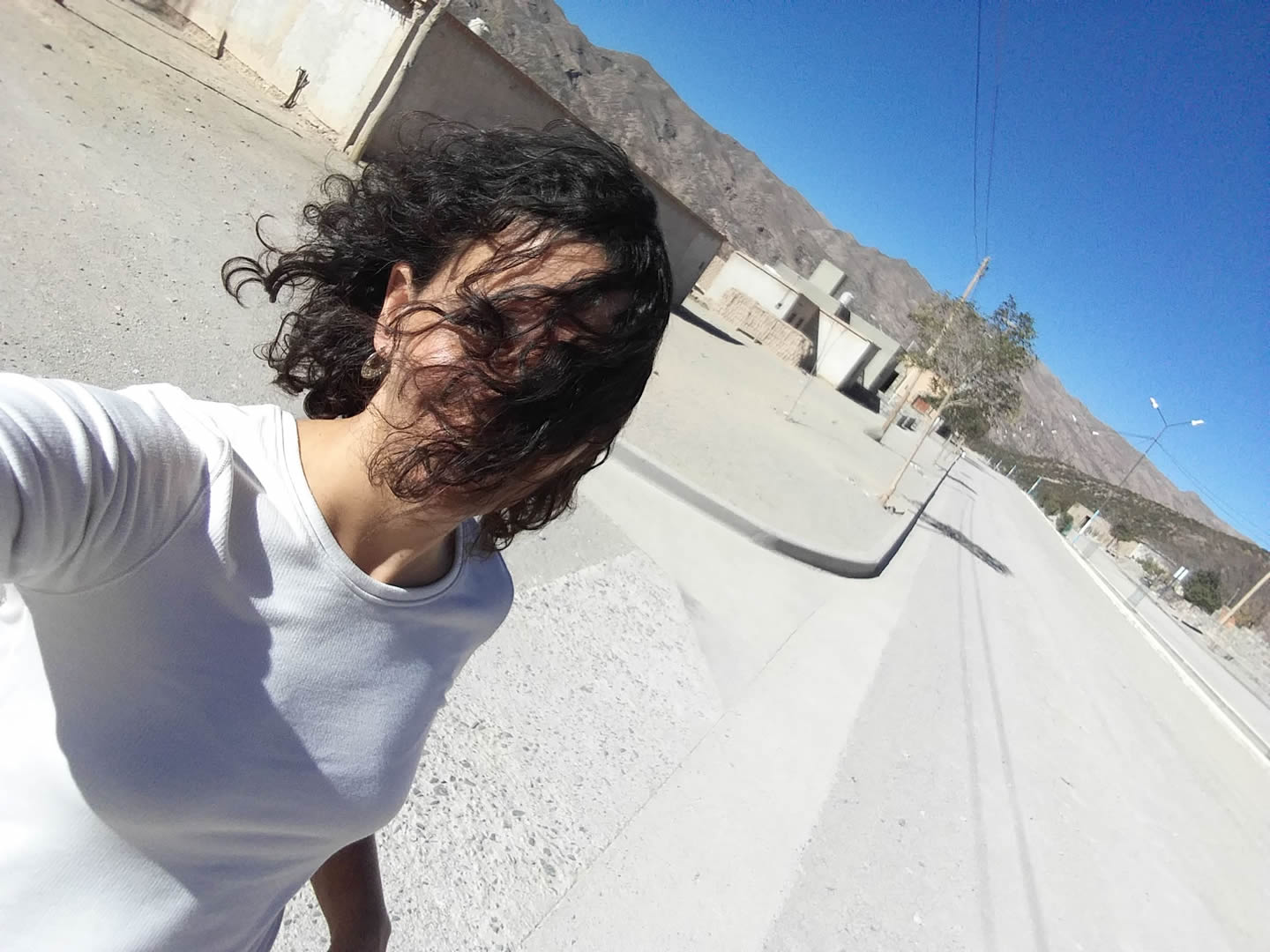 Los rulos al viento