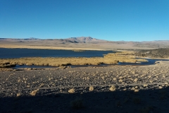Puna catamarqueña