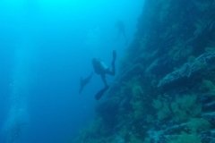 Buceando en Galapagos
