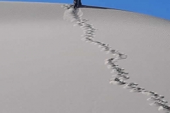 subiendo_la_duna