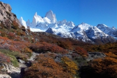 Fitzroy3