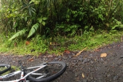 Bicicleteando en volcan la Fortuna, Costa Rica