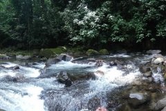 paz_arroyo_elsalto_lafortuna_costarica