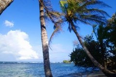 playa_bocasdeltoro_panama