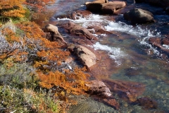 cerro Fitz Roy