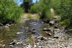 Camino junto al río