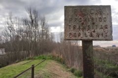 Vias estacion abandonad rio salado