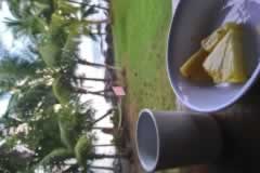 Un té en el Paraiso