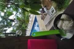 Tecito en Bocas del toro
