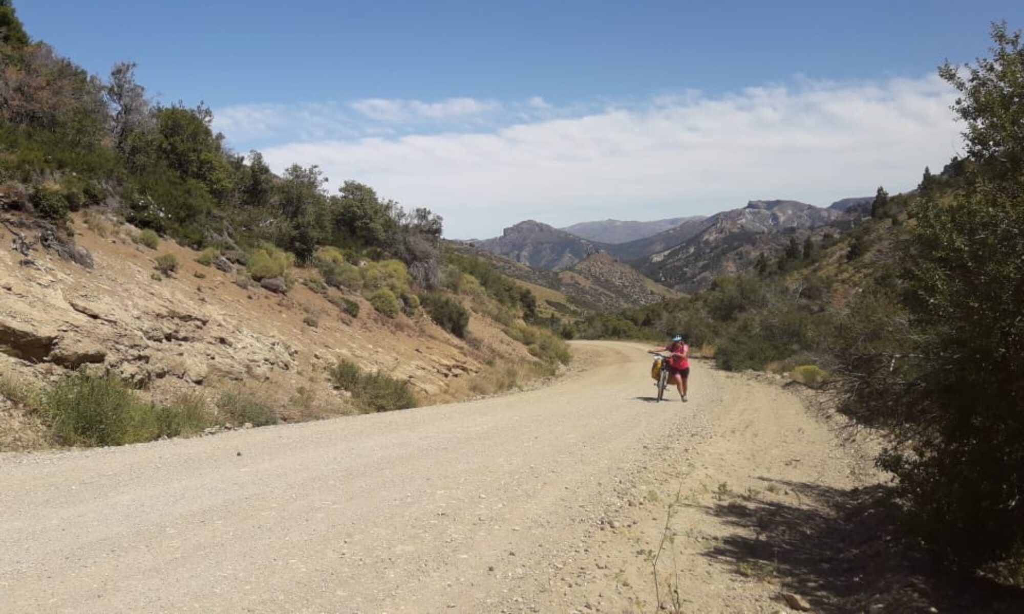 La hormiguita viajera empujando la bicicleta rota y cargada con alforjas mientras sube por el paso Cordoba en Patagonia